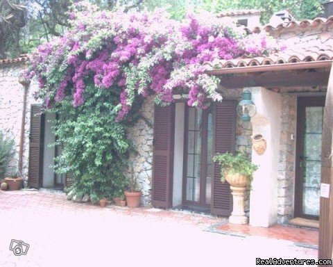 casa  antica | Rental Home Riviera De Flowers E Palmen | Savona, Italy | Vacation Rentals | Image #1/8 | 
