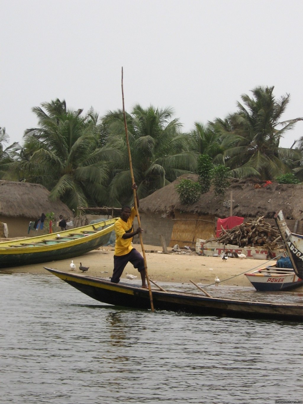 Bird watching | Blastours - Discovering Ghana | Image #2/11 | 