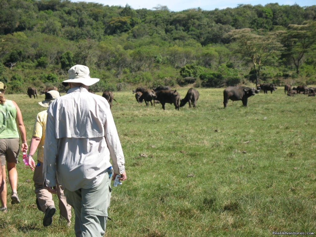 Walking in Arusha National Park | RA Safaris Tanzania | Image #24/25 | 