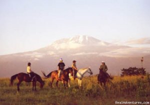 Horseback adventures on the Slopes of Kilimanjaro | Moshi, Kilimanjaro Region, Tanzania Horseback Riding & Dude Ranches | Tanzania Adventure Travel