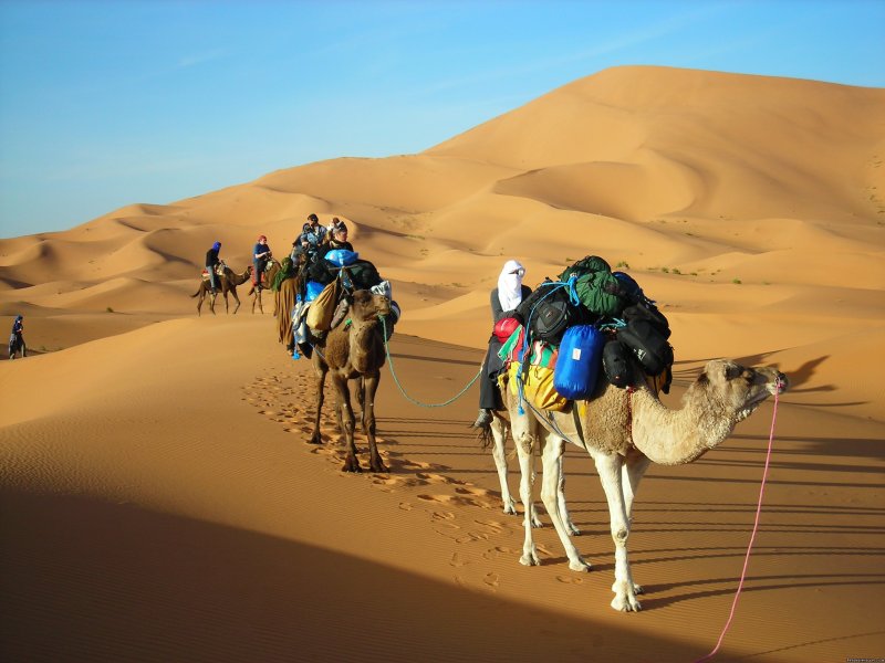 merzouga camel trekking | Ksar Bicha Hotel In Merzouga | merzouga, Morocco | Bed & Breakfasts | Image #1/9 | 