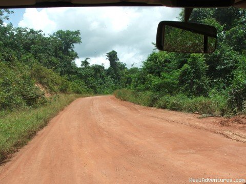 21 Days Suriname Exploration | Image #13/24 | 