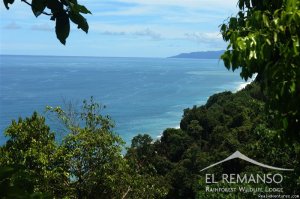 Luxury Rainforest Wildlife Lodge - Osa Peninsula | Puerto Jimenez, Costa Rica Hotels & Resorts | Great Vacations & Exciting Destinations