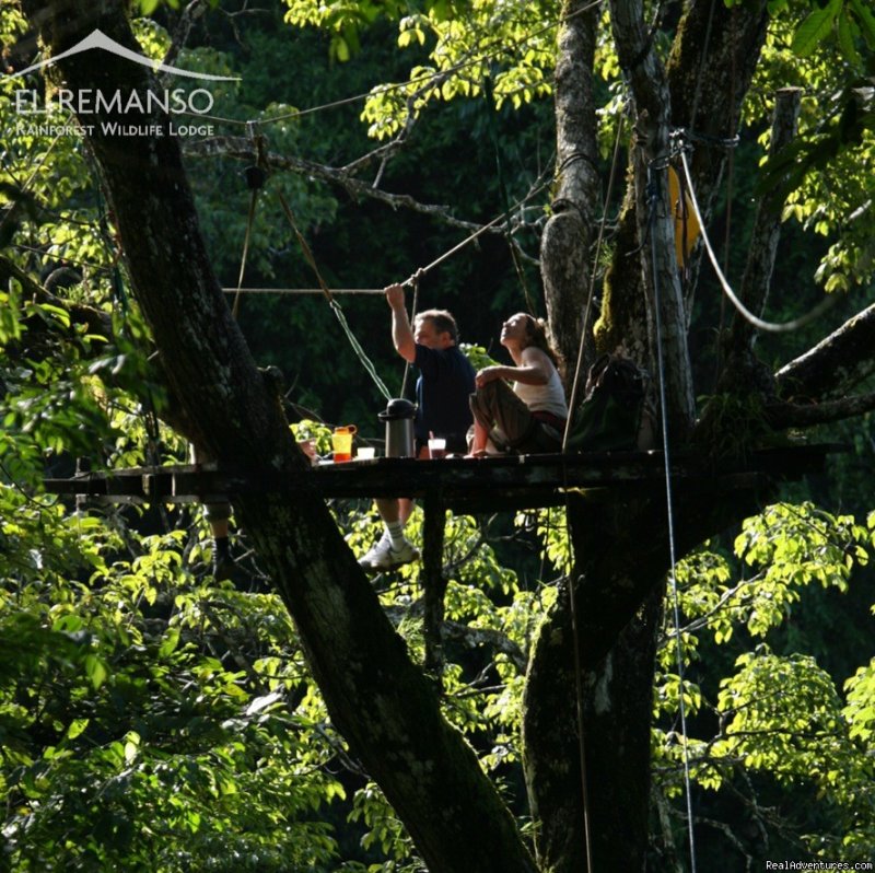 Zipline to canopy platform | Luxury Rainforest Wildlife Lodge - Osa Peninsula | Image #8/11 | 