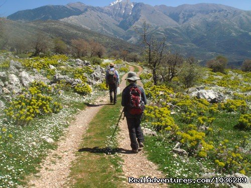 Walking holidays | Yoga, walking and holistic holidays in Greece. | Image #9/12 | 
