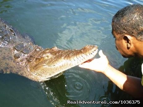 BLACK RIVER TOUR  | Adventure of a life time - Fly Drive Jamaica | Image #3/8 | 