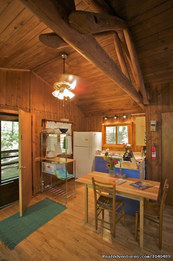 Well stocked Self - Catering Kitchen @ 3 Cabin | Nature, Comfort & Simplicity, Virginia Cottages | Image #8/14 | 