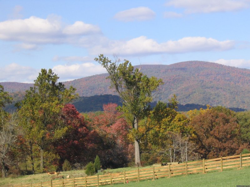 Fall Views | Nature, Comfort & Simplicity, Virginia Cottages | Image #14/14 | 