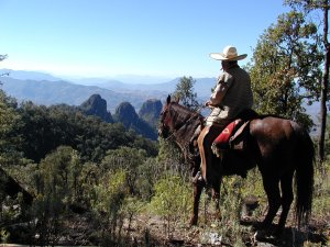 Mexico Horse Vacation