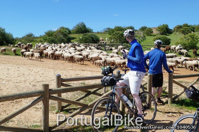 Portugal Bike - The Amazing Algarve Coast | Image #15/26 | 