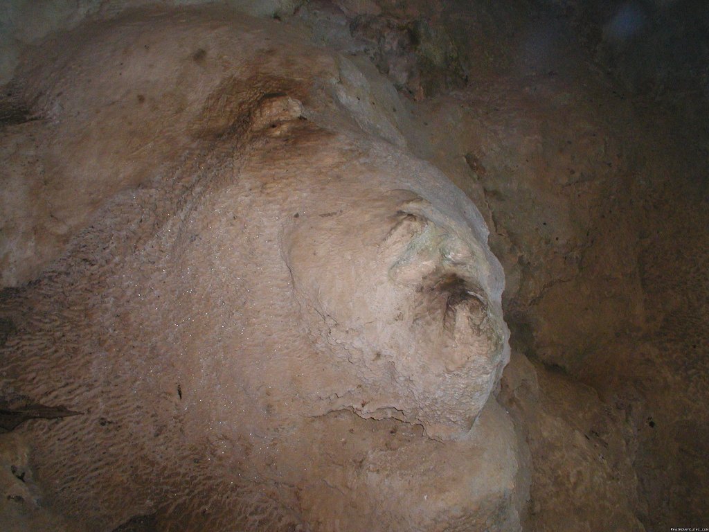 Image within the Cave | Belize Archaeology, Caves, Rainforest, Reef Tours | Image #10/10 | 