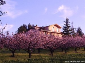 Beautiful apartments along the Chianti road | Terricciola, Italy Vacation Rentals | Bibbiena, Italy Vacation Rentals