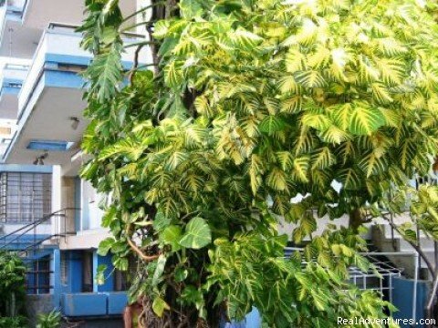 Photo #5 | BlueBuilding apartment for rent in Havana City. | Image #5/5 | 