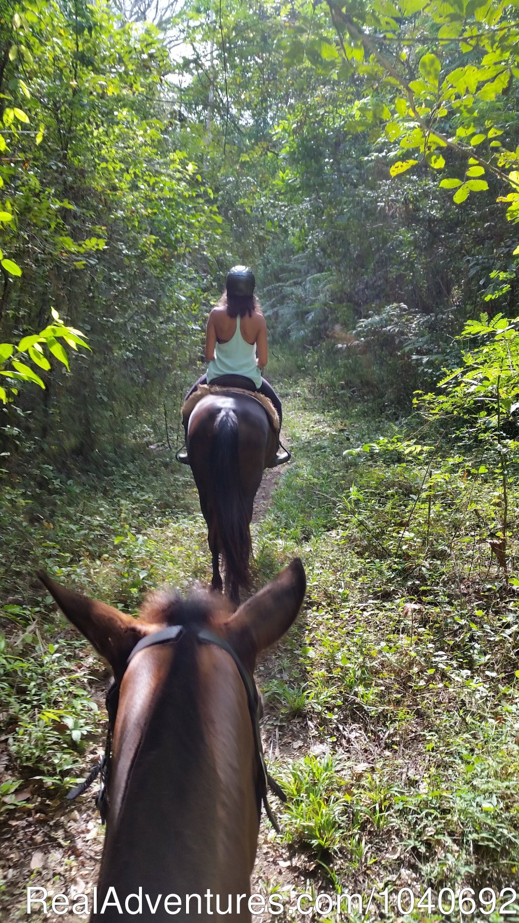 Trail Ride | Horseback riding Jaco with Discovery Horse Tours | Playa Hermosa, Costa Rica | Horseback Riding & Dude Ranches | Image #1/13 | 