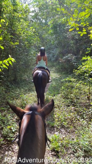 Horseback riding Jaco with Discovery Horse Tours