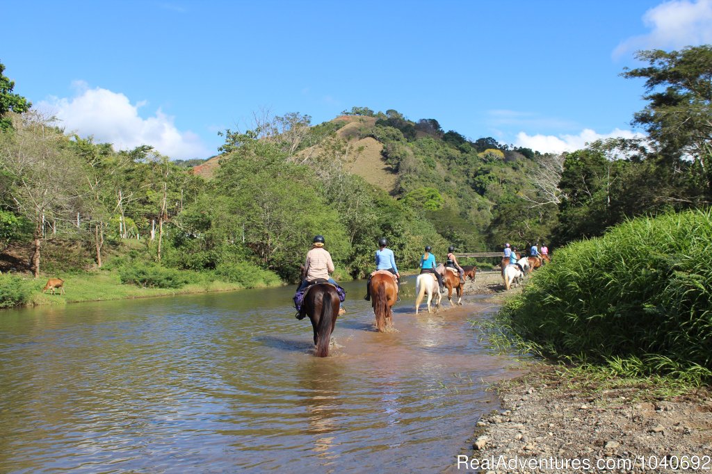 El Rio Ride | Horseback riding Jaco with Discovery Horse Tours | Image #4/13 | 