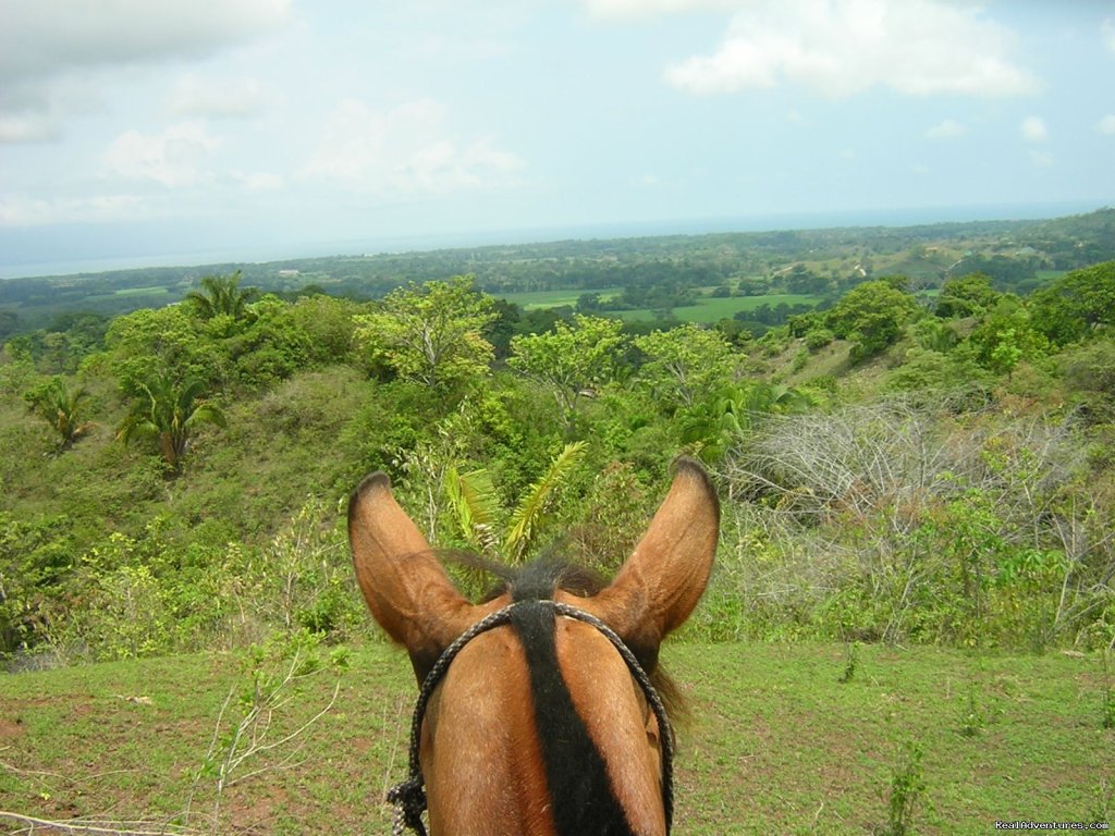 Checkout that View | Horseback riding Jaco with Discovery Horse Tours | Image #12/13 | 