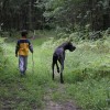 Cobtree Vacation Rental  Resort - Finger Lakes, NY Pet friendly woodland walks at Cobtree