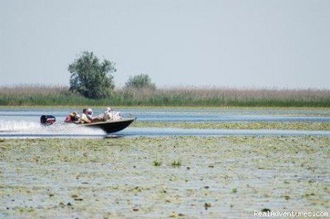 Explore the Wild Danube at Delta Nature Resort | Image #10/10 | 
