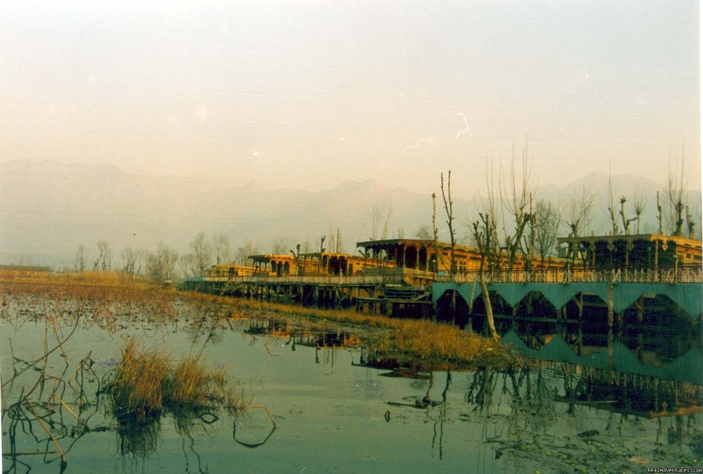 Group of Our House Boats [ Dal Lake] | Tours  Packages in India | Image #2/2 | 