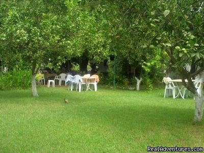 Alibaba Pension Cirali Olympos Chimaera | Image #4/17 | 