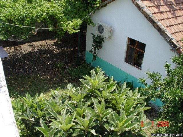 Bungalow | Alibaba Pension Cirali Olympos Chimaera | Image #5/17 | 