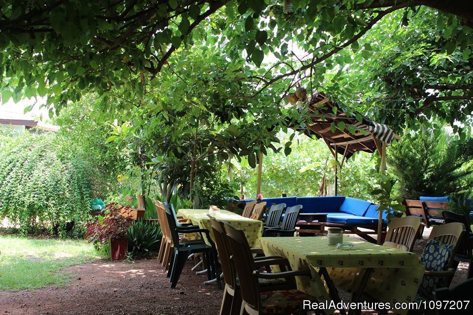 Yoga Saloon | Alibaba Pension Cirali Olympos Chimaera | Image #12/17 | 