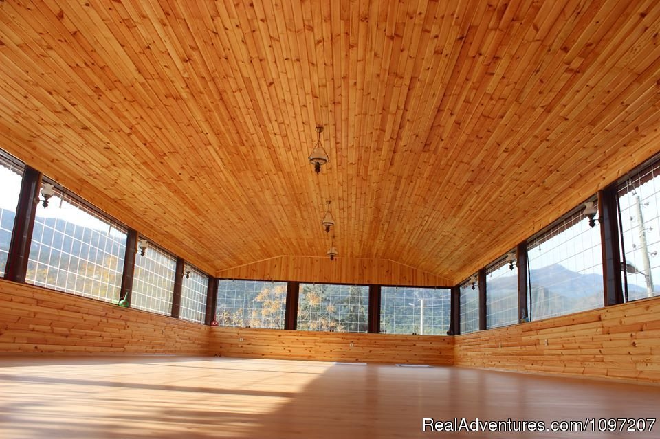 Yoga Saloon | Alibaba Pension Cirali Olympos Chimaera | Image #16/17 | 