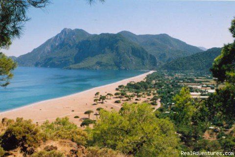 Photo 5 | Alibaba Pension Cirali Olympos Chimaera | Kemer, Turkey | Bed & Breakfasts | Image #1/17 | 