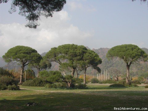 Alibaba Pension Cirali Olympos Chimaera | Image #3/17 | 