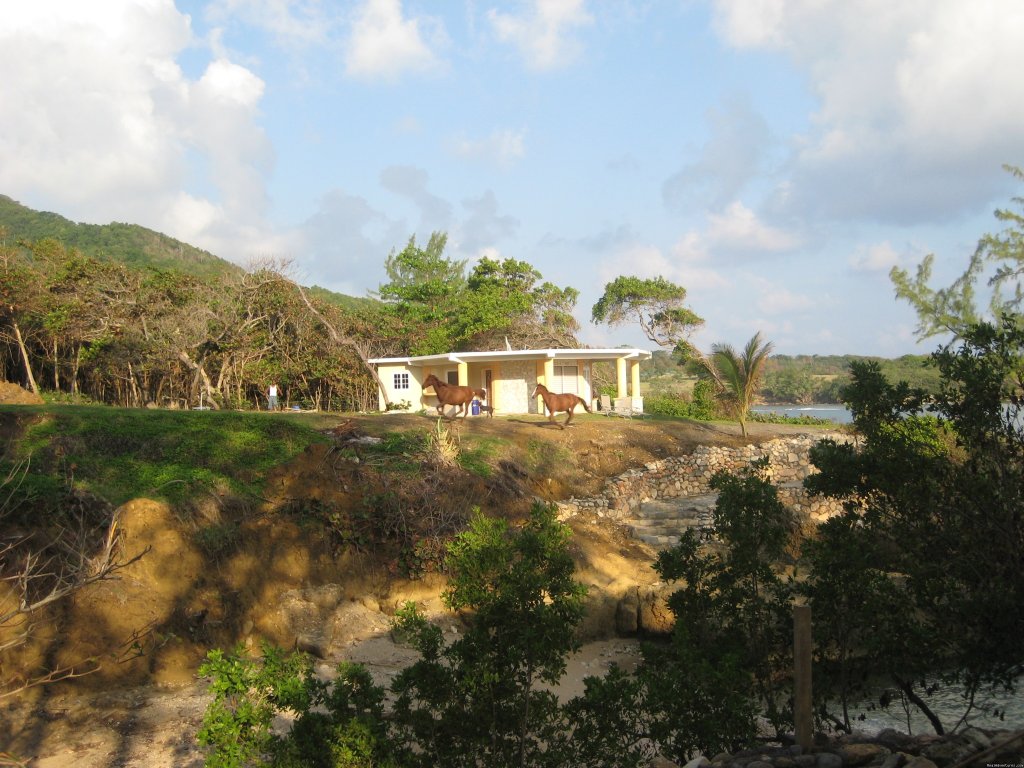 Dream Maker, one bedroom on private beach | Back To Eden Strawberry Fields Together Jamaica | Image #6/22 | 