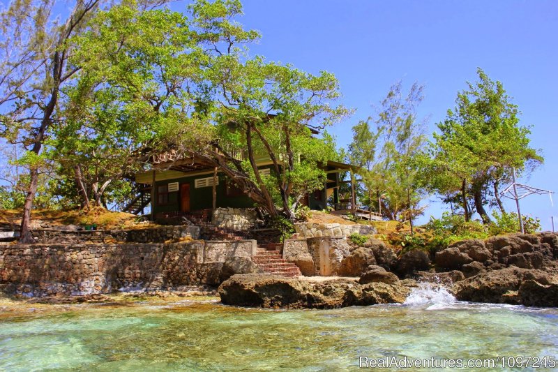 Love Nest and Sunrise Magic 3 bedroom villa on private beach | Back to Eden Strawberry Fields Together Jamaica | Image #22/22 | 