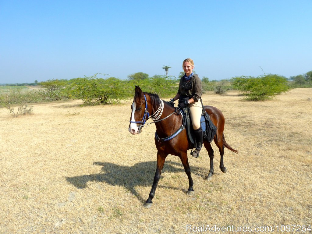 Marwari mare and rider | Horsebacksafaris on Marwari Horses in Rajasthan | Image #7/26 | 