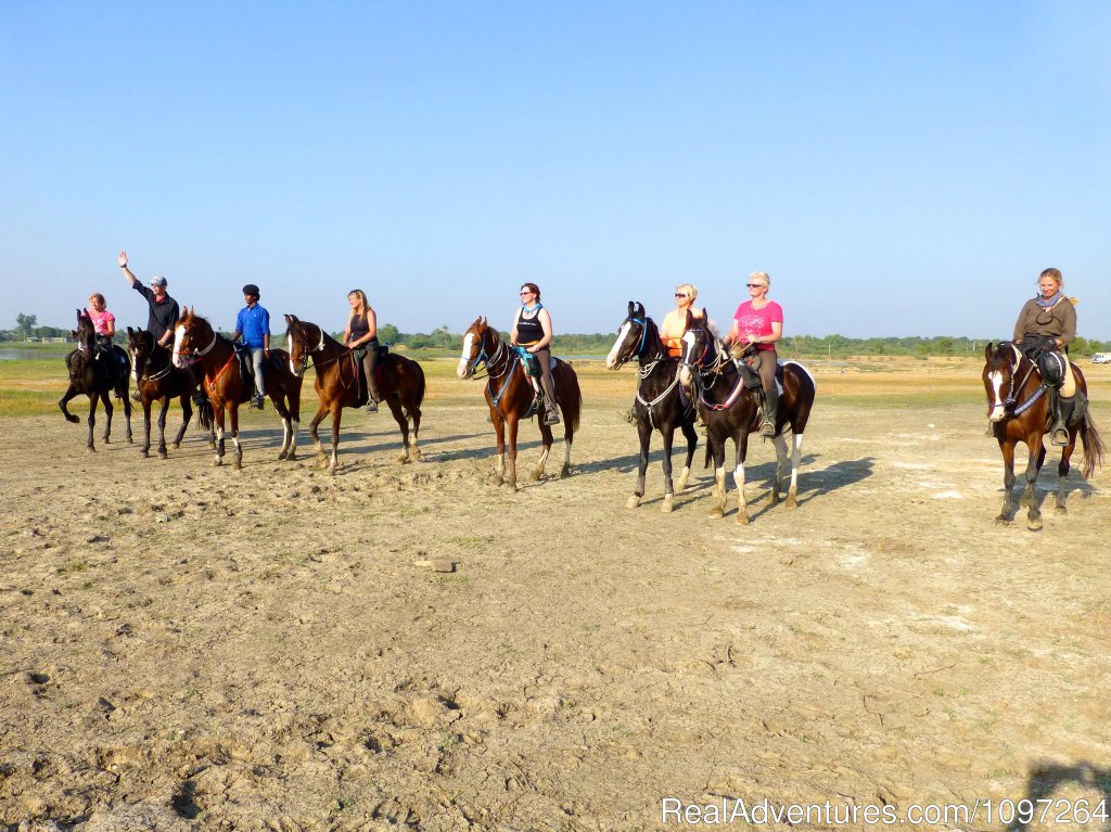 Safari Group | Horsebacksafaris on Marwari Horses in Rajasthan | Image #3/26 | 