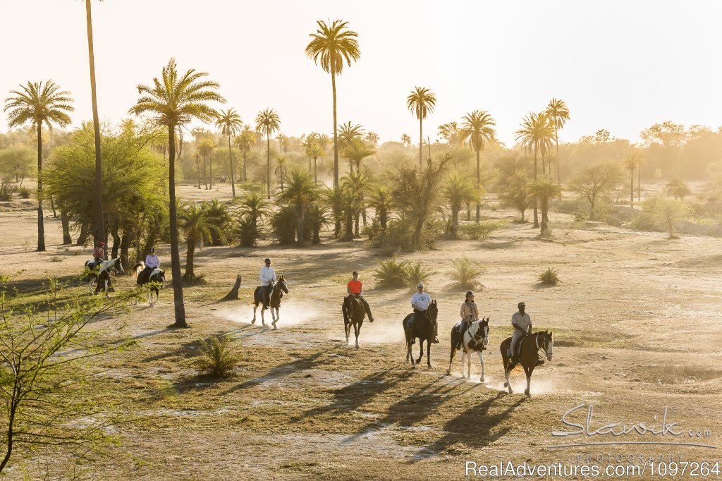 Horse Safaris in Rajasthan | Horsebacksafaris on Marwari Horses in Rajasthan | Udaipur, India | Horseback Riding & Dude Ranches | Image #1/26 | 