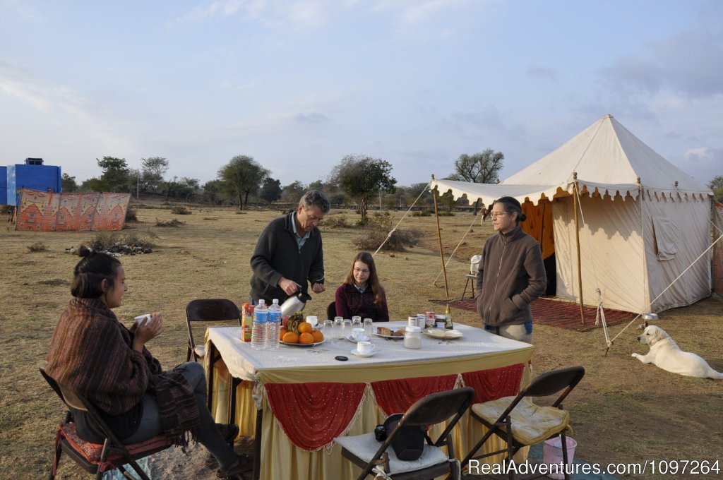 Breakfast in our safari camp | Horsebacksafaris on Marwari Horses in Rajasthan | Image #17/26 | 