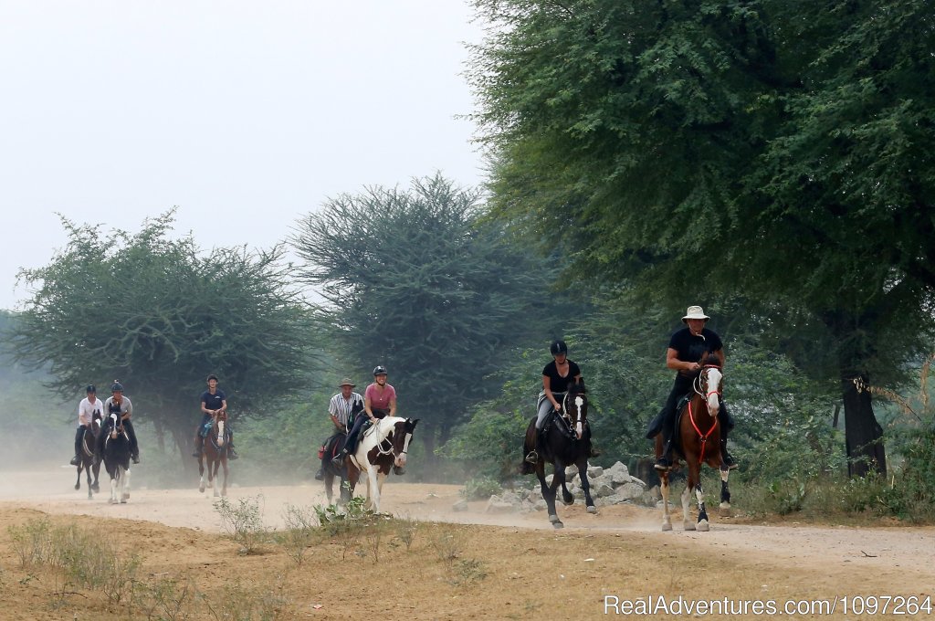 Enjoying the ride | Horsebacksafaris on Marwari Horses in Rajasthan | Image #2/26 | 