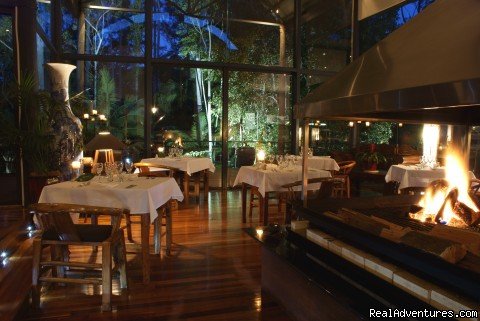 Main Lodge Dining Room | Romantic luxury adult rainforest retreat | North Tamborine, Australia | Health Spas & Retreats | Image #1/2 | 