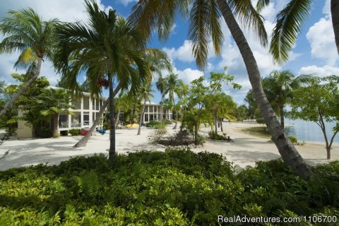 Island House Of Cayman Kai