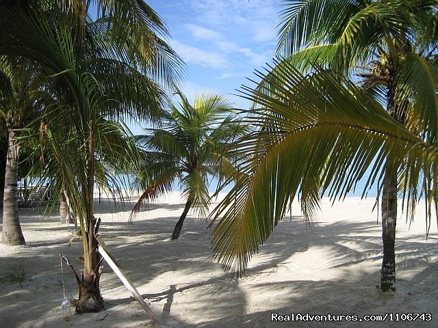 Plenty Of Beach Front Shade | Nirvana On The Beach, Negril Jamaica | Image #5/22 | 