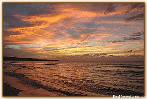 Sunset On The Beach | Nirvana On The Beach, Negril Jamaica | Negril, Jamaica | Vacation Rentals | Image #1/22 | 