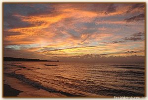 Nirvana On The Beach, Negril Jamaica | Negril, Jamaica | Vacation Rentals