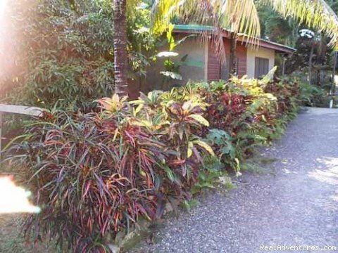 Garden Walk Way | Nirvana On The Beach, Negril Jamaica | Image #16/22 | 