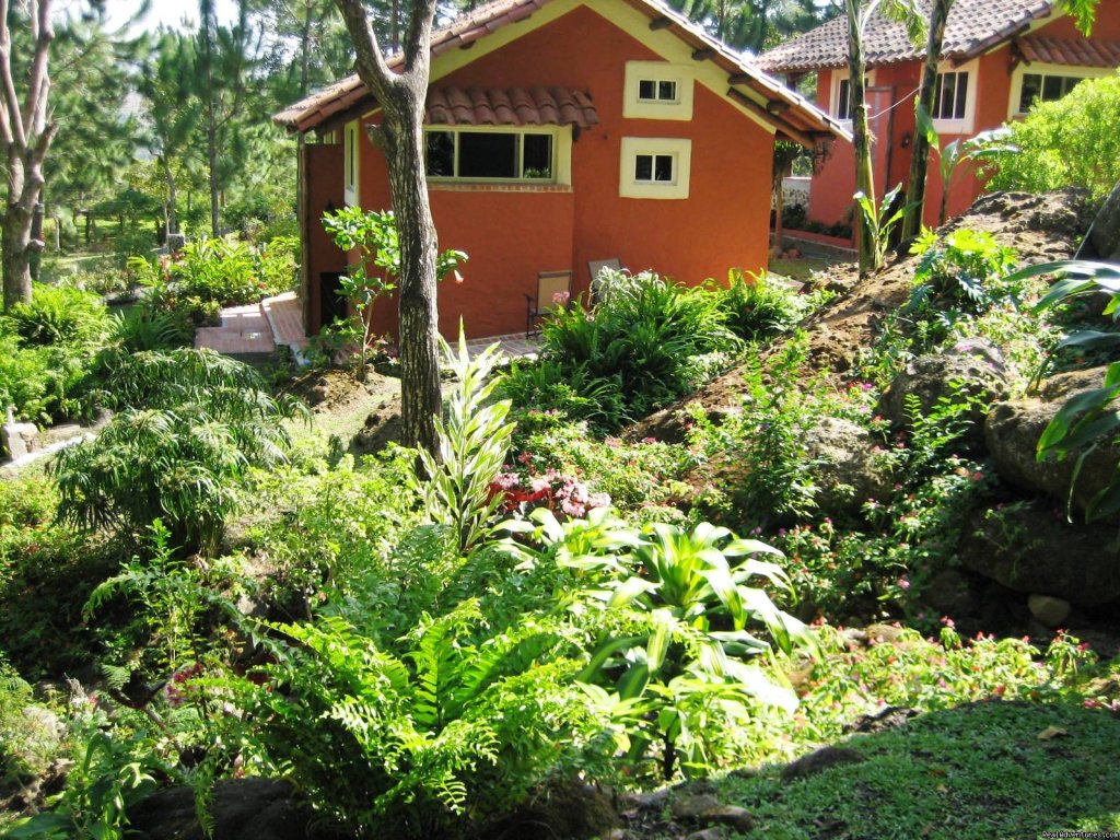 Los Juanes back view | Cabins/Cottages for Rent in Altos del Maria | Image #4/22 | 