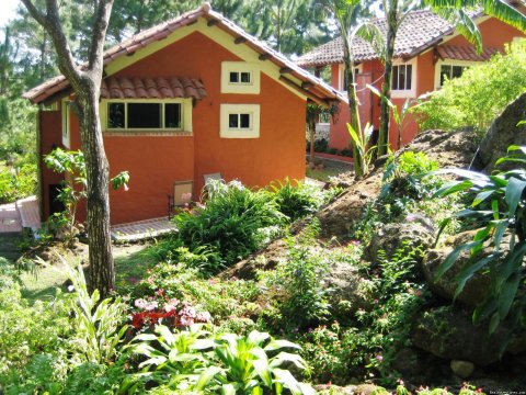 Back side view of cabins