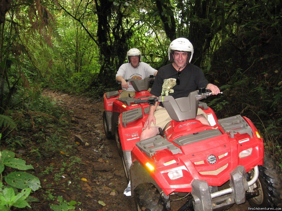 Rain forest | Atv Tours Costa Rica | Image #4/5 | 