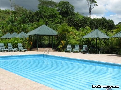 swimming pool | Lands in love hotel & resort | Image #4/10 | 