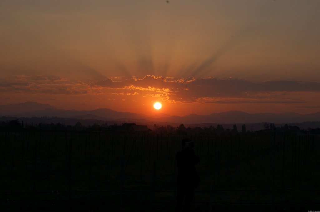 Sunrise Temecula Balloon Flight | Image #2/19 | 