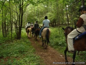 Nature & History Tours- Catskills, Poconos & more | New York, New York | Eco Tours