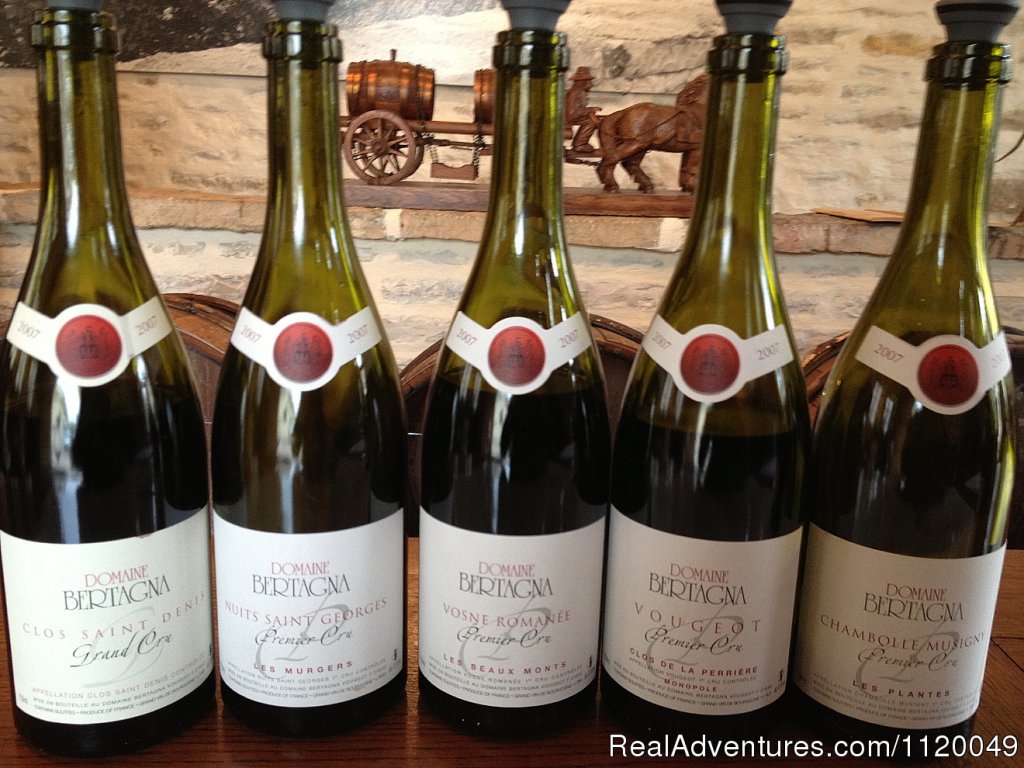 Pinot Noir - Premier and Grand Crus from Cote de Nuits | Fabulous Wine and Food Tours in Burgundy | Image #8/13 | 